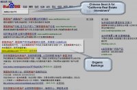 Organic Chinese Search Engine Penetration