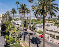 439 N Doheny Dr 204