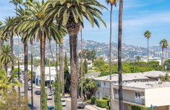439 N Doheny Dr 204
