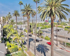 439 N Doheny Dr 204