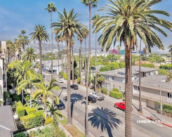 439 N Doheny Dr. 302