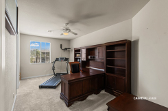 8095 Dark Hollow Place
