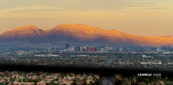 9103 Alta Drive