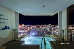 4381 West Flamingo Road Palms Place Unit 57306