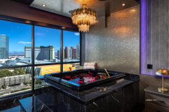 4575 Dean Martin Drive Panorama Towers 1909
