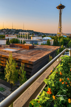 2821 2nd Avenue Bay Vista 1102