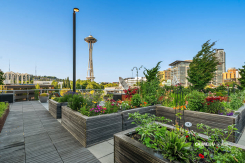 2821 2nd Avenue Bay Vista 1102