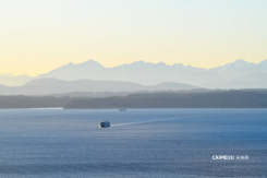 2125 1st Avenue Continental Place 3202