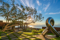 2125 1st Avenue Continental Place 3202