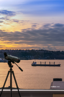 715 2nd Avenue Millennium Tower 1501