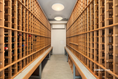 715 2nd Avenue Millennium Tower 1501